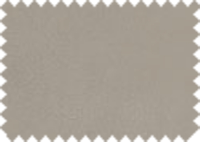 CARABU_108